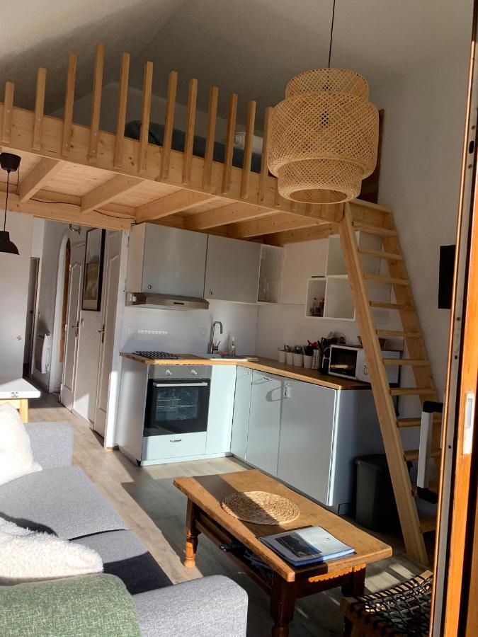 Appartement Vue Imprenable Avec Emplacement Ideal Λε Ντεζ Αλπ Εξωτερικό φωτογραφία